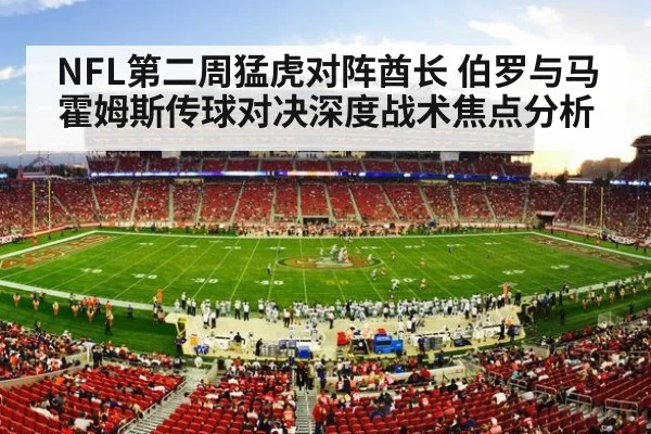 NFL stadium crowd