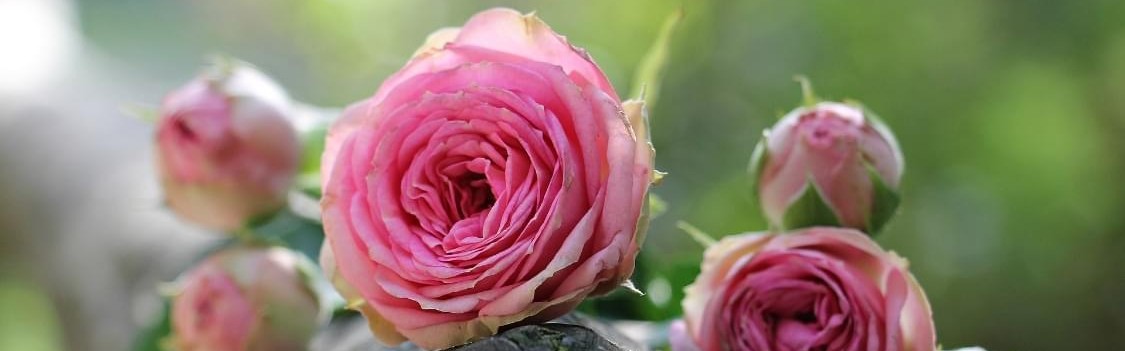 花两万买来的惨痛教训：天热就在家吹空调，千万别去什么避暑胜地